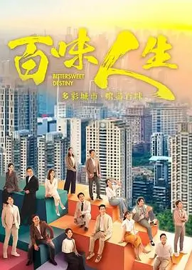 傲骨之战 剧集海报